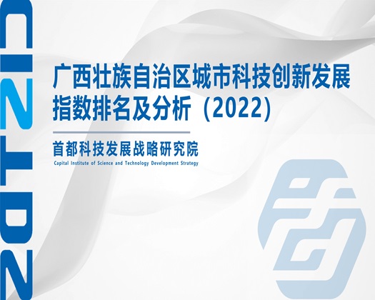 骚逼爽爽【成果发布】广西壮族自治区城市科技创新发展指数排名及分析（2022）